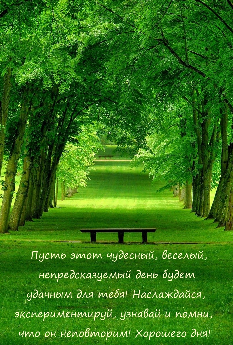Пусть этот чудесный, веселый, непредсказуемый день будет удачным!