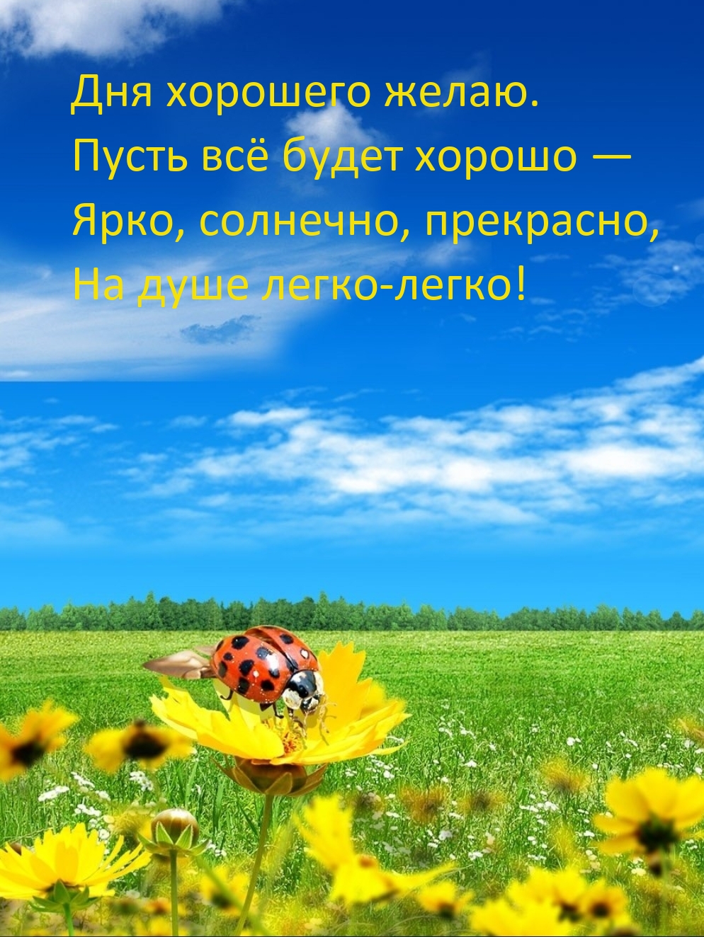 Дня хорошего желаю. Пусть всё будет хорошо — ярко, солнечно