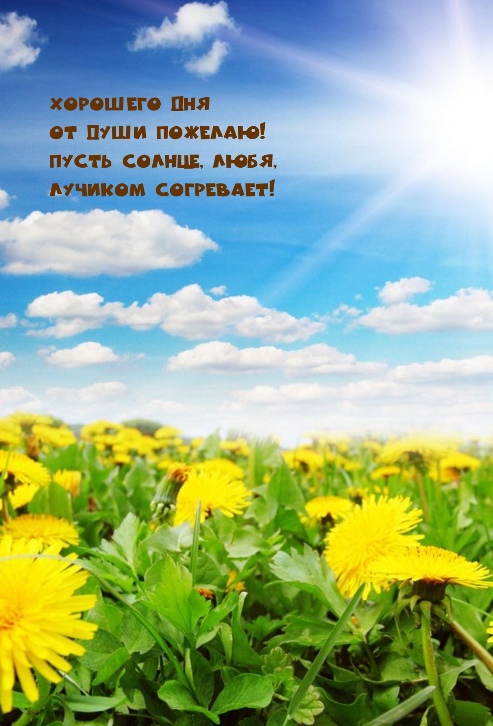 Хорошего дня от души пожелаю! Пусть солнце, любя