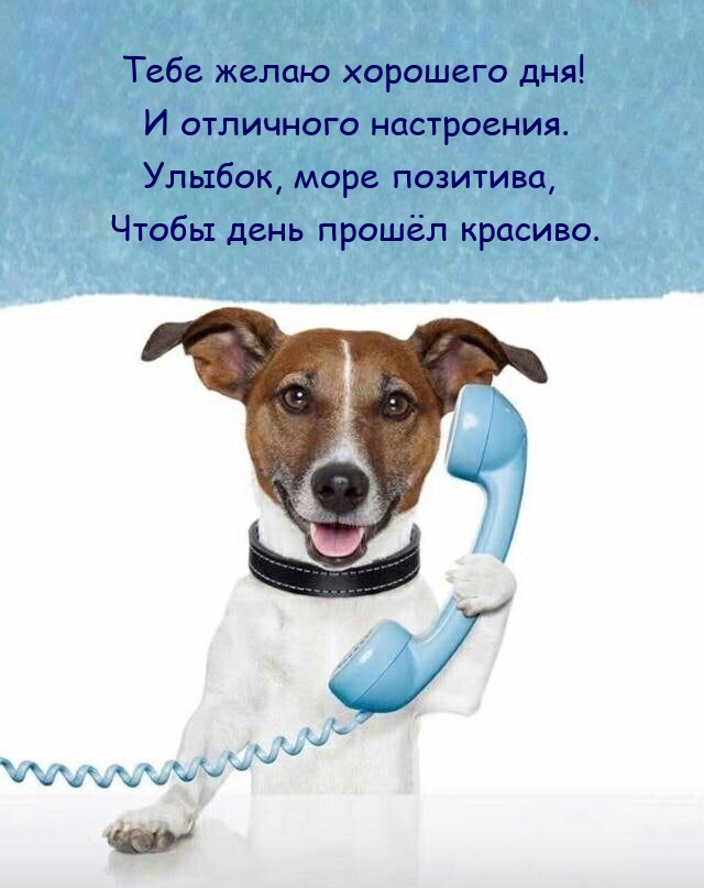 Тебе желаю хорошего дня! И отличного настроения.