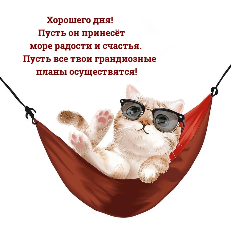 Хорошего дня! Пусть он принесёт море радости и счастья. 