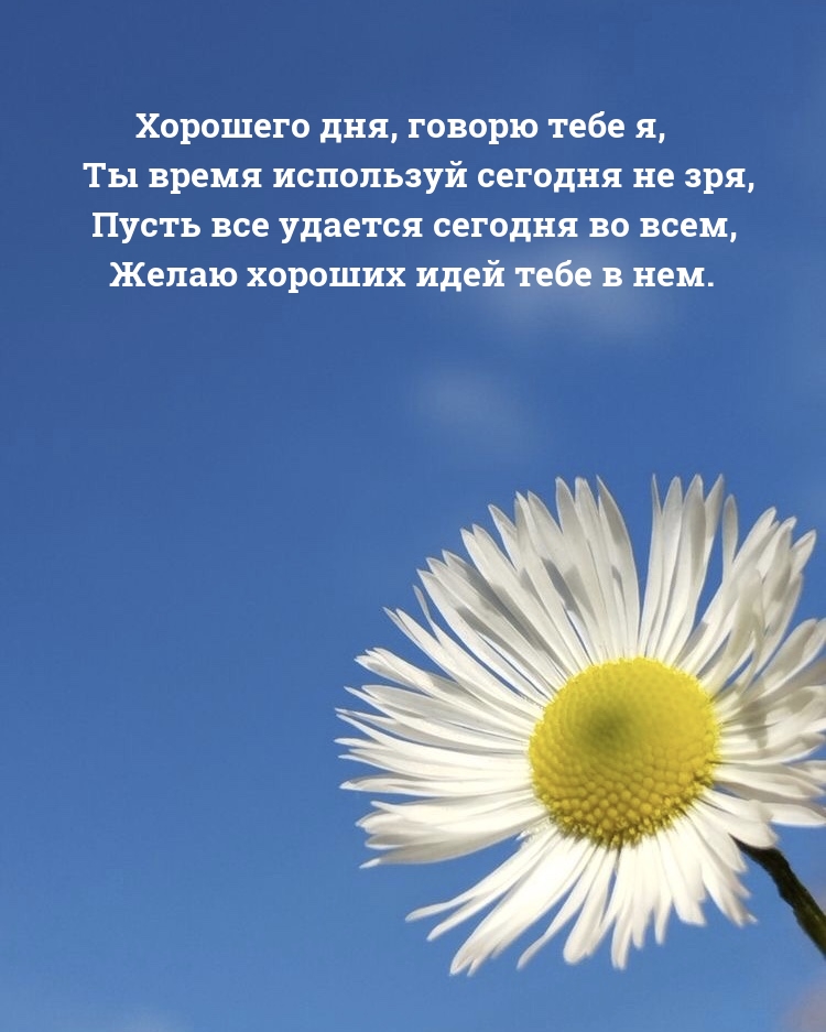Хорошего дня, говорю тебе я, ты время используй сегодня не зря