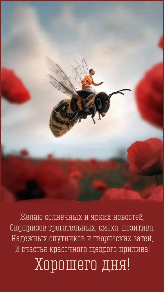 Хорошего дня! Желаю солнечных и ярких новостей