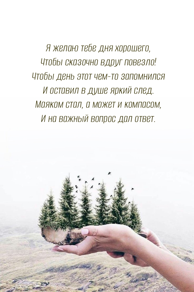 Я желаю тебе дня хорошего, чтобы сказочно вдруг повезло!