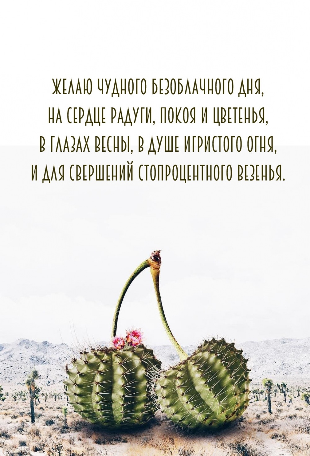 Желаю чудного безоблачного дня, на сердце радуги, покоя и цветенья