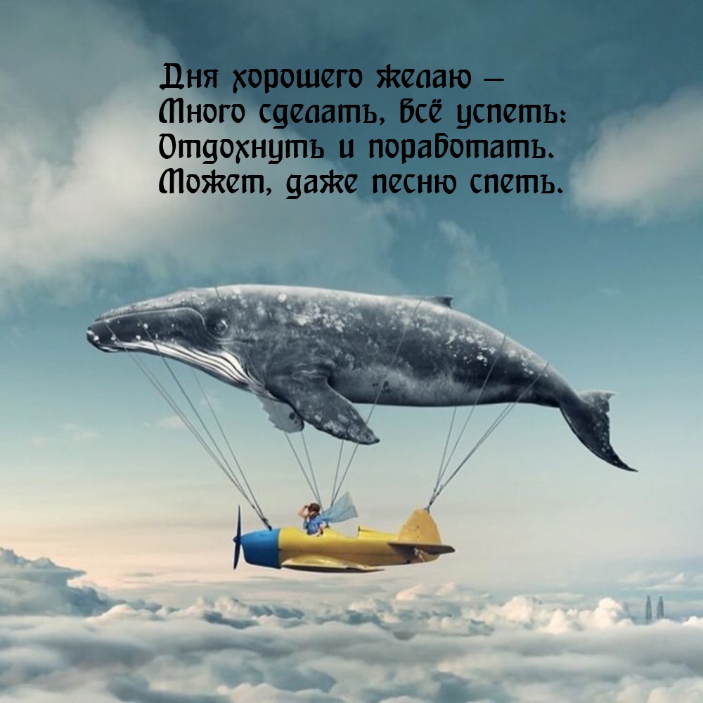 Дня хорошего желаю — много сделать, всё успеть