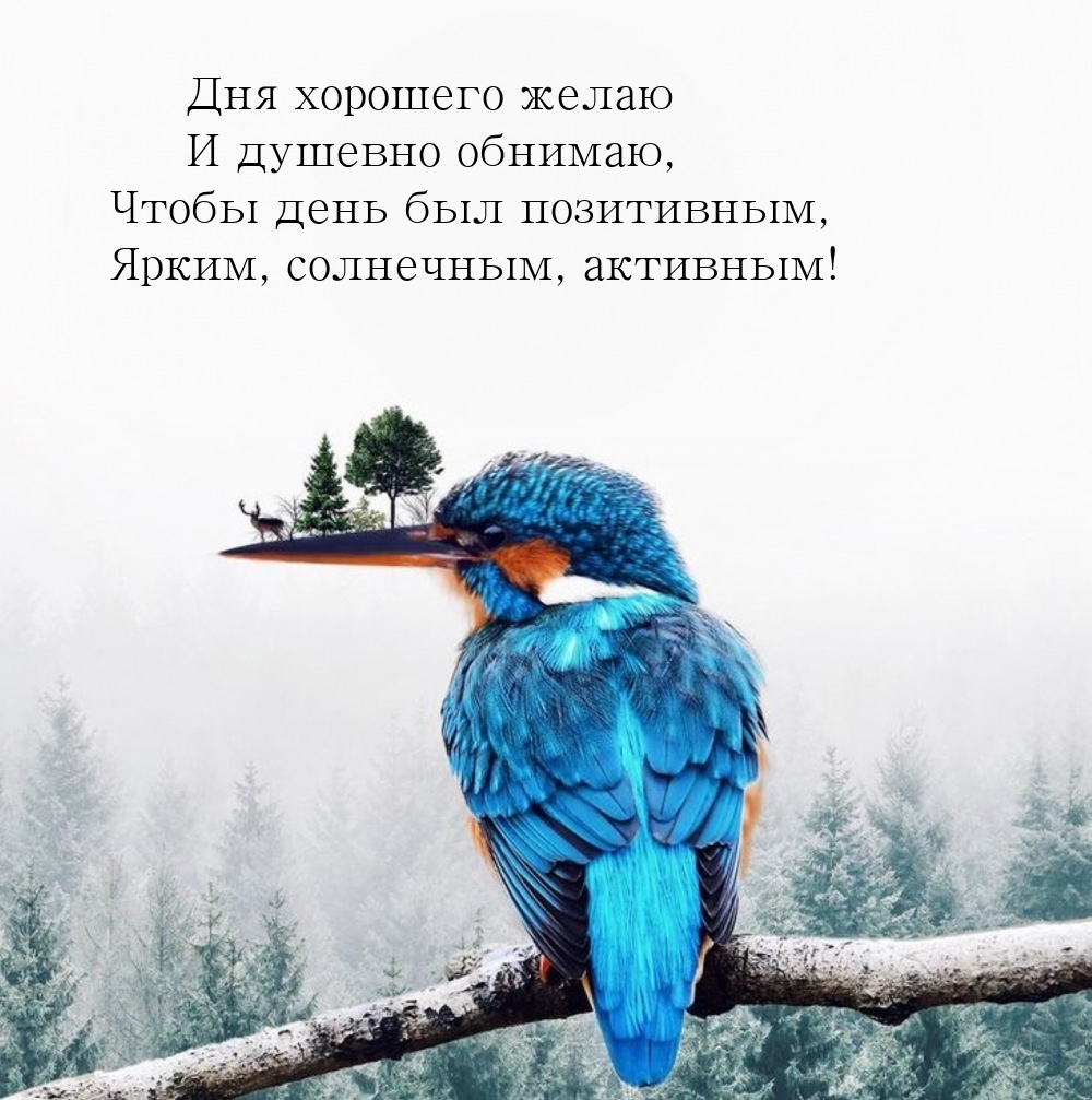 Дня хорошего желаю и душевно обнимаю, чтобы день был позитивным
