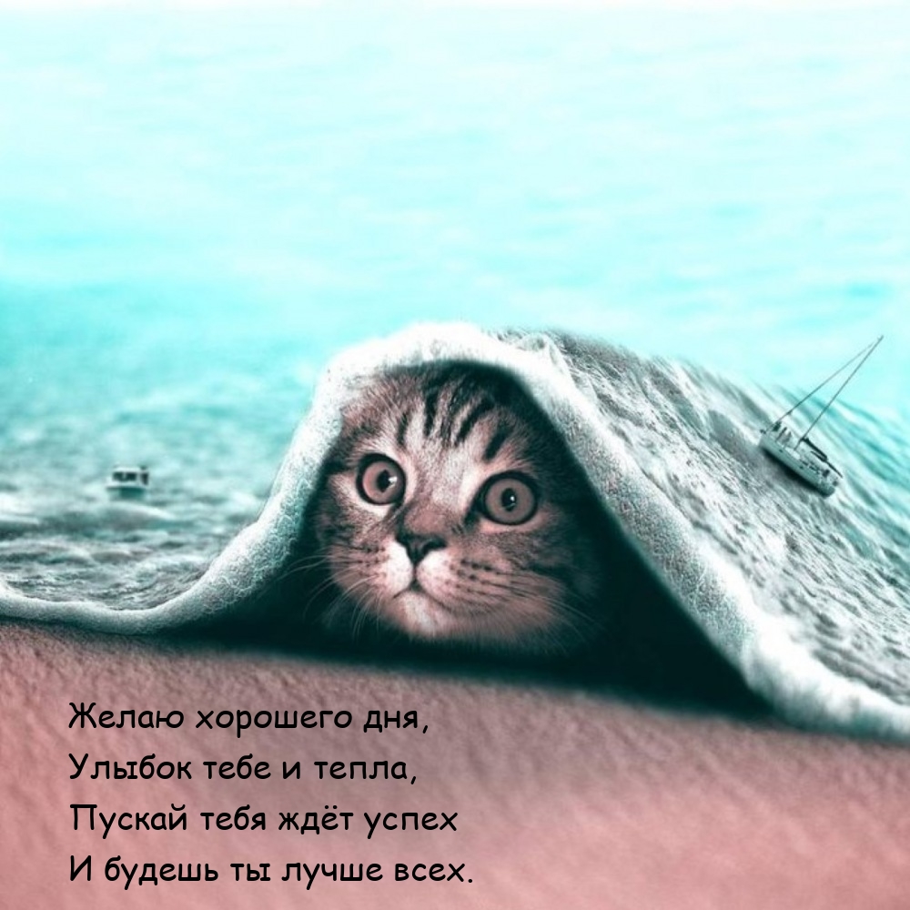 Желаю хорошего дня, улыбок тебе и тепла