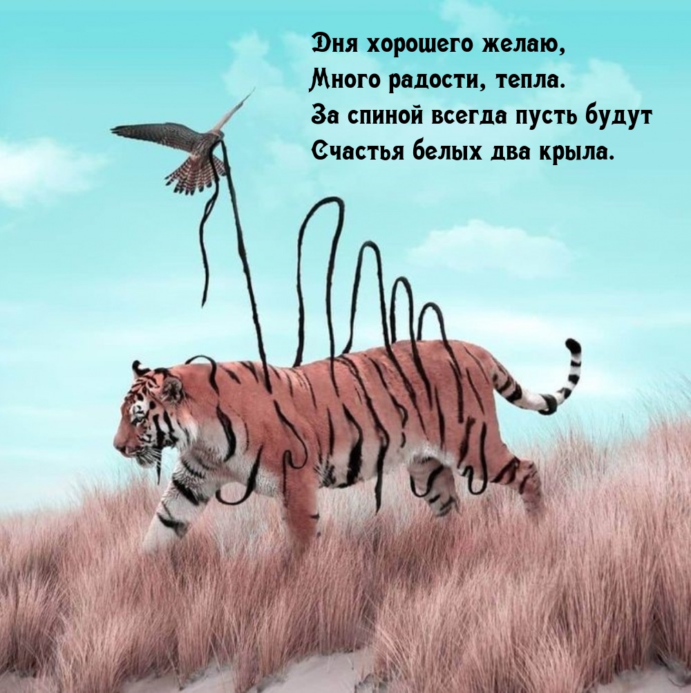 Дня хорошего желаю, много радости, тепла.