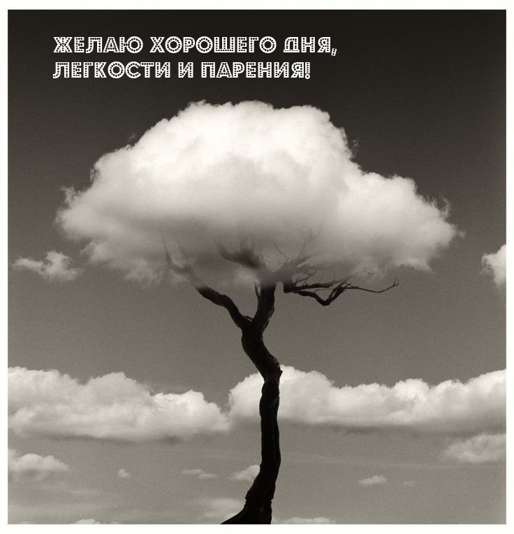 Желаю хорошего дня, легкости и парения!