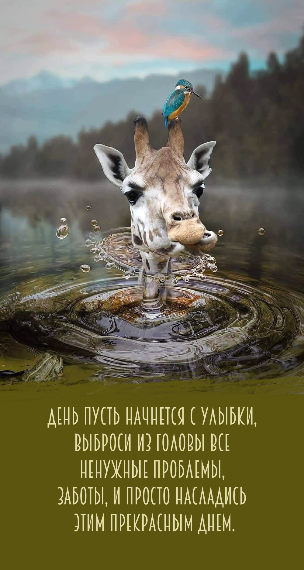 День пусть начнется с улыбки, выброси из головы ненужные проблемы