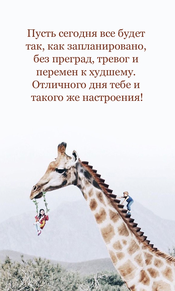Пусть сегодня все будет так, как запланировано, без преград, тревог 