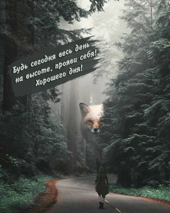 Будь сегодня весь день на высоте, прояви себя! Хорошего дня!