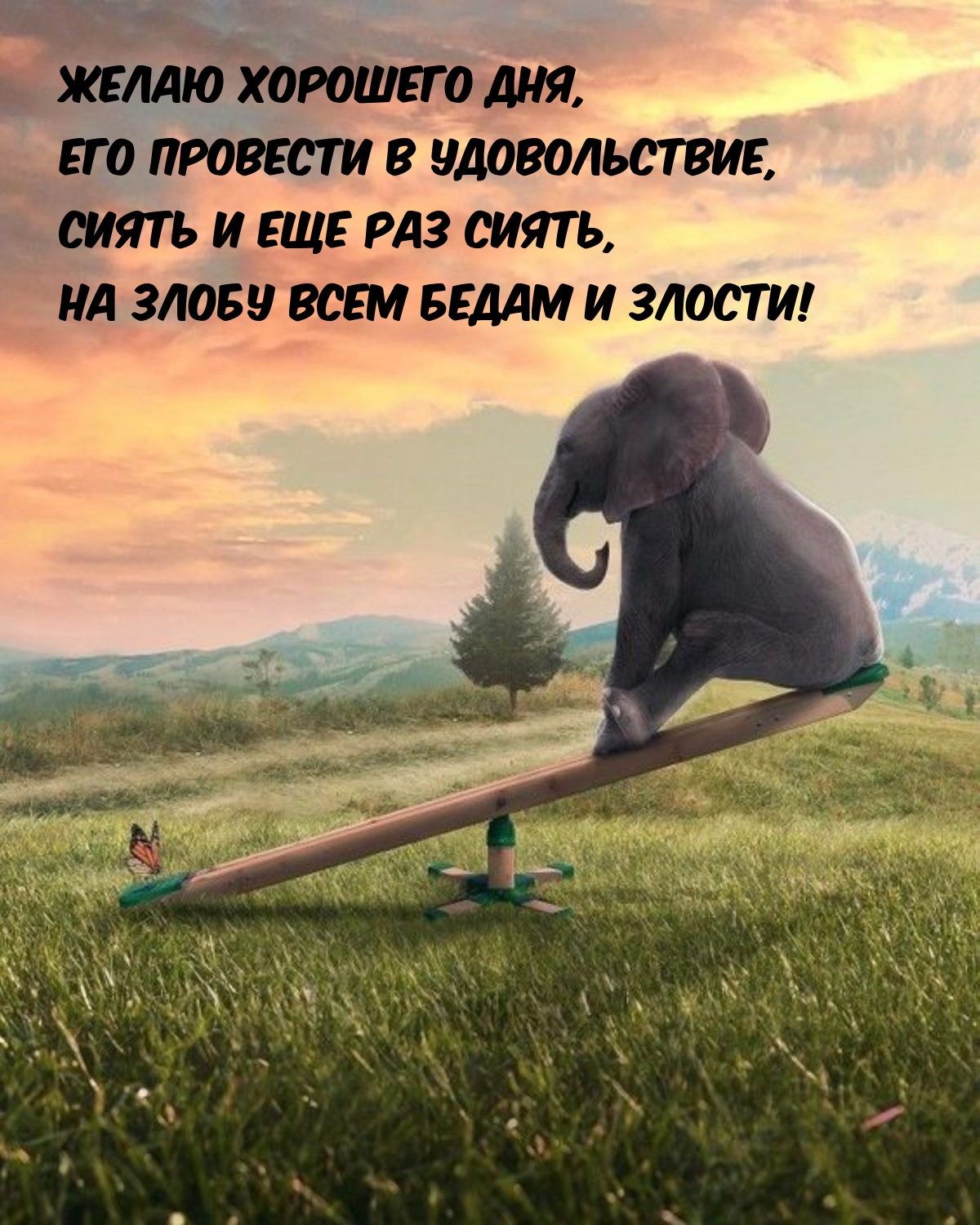 Желаю хорошего дня, его провести в удовольствие