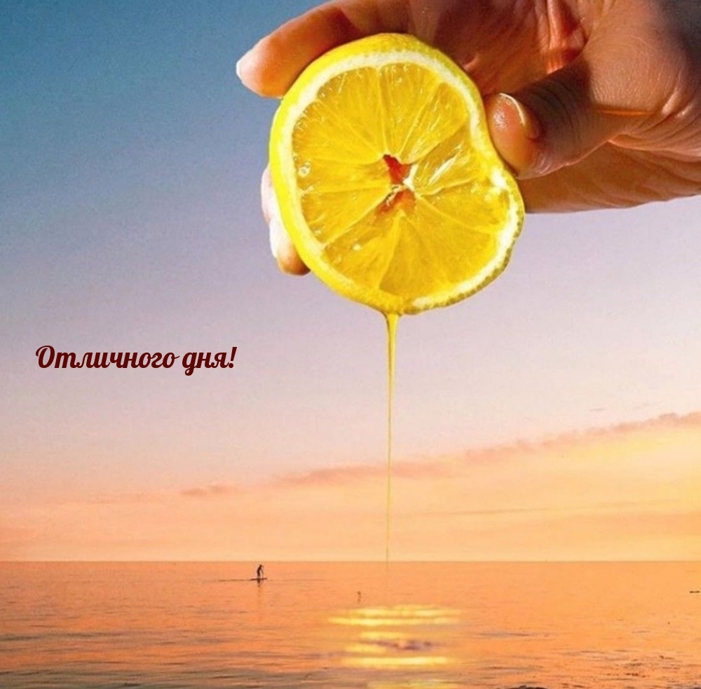 Отличного дня!