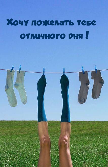 Хочу пожелать тебе отличного дня!