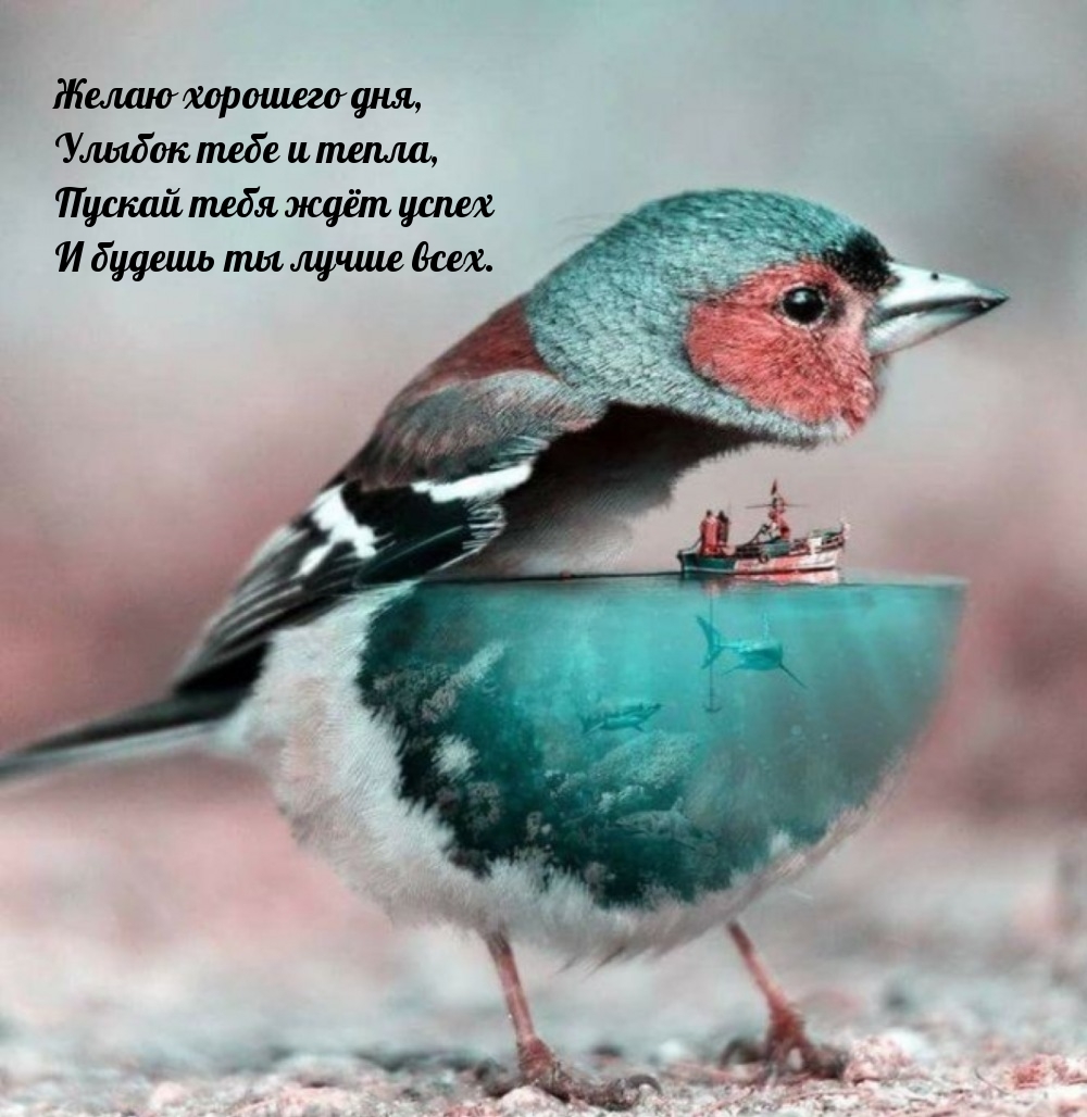 Желаю хорошего дня, улыбок тебе и тепла