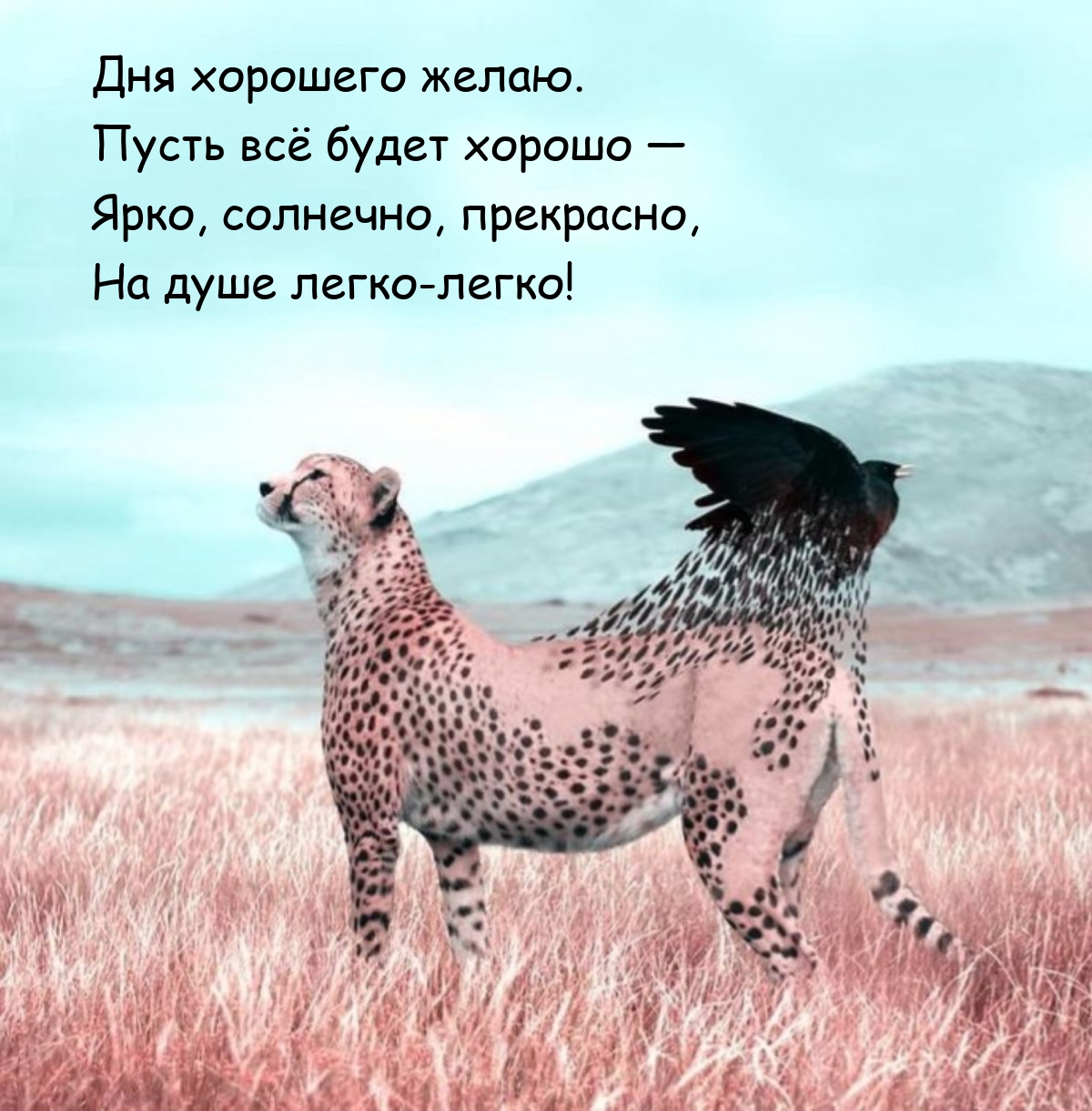 Дня хорошего желаю. Пусть всё будет хорошо — ярко, солнечно