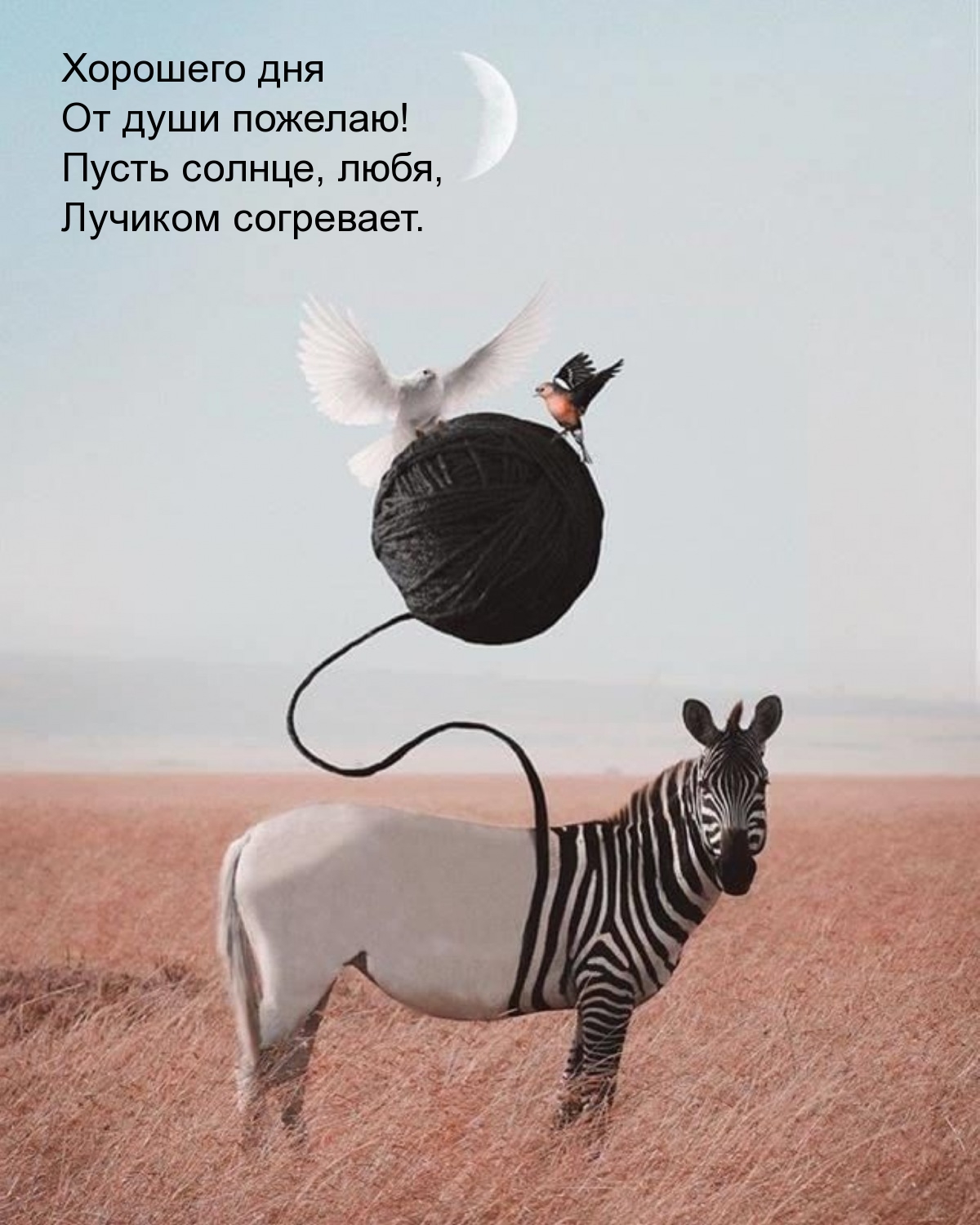 Хорошего дня! Пусть солнце, любя, лучиком согревает.