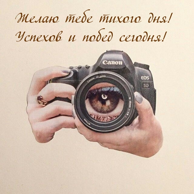 Желаю тебе тихого дня! Успехов и побед сегодня!