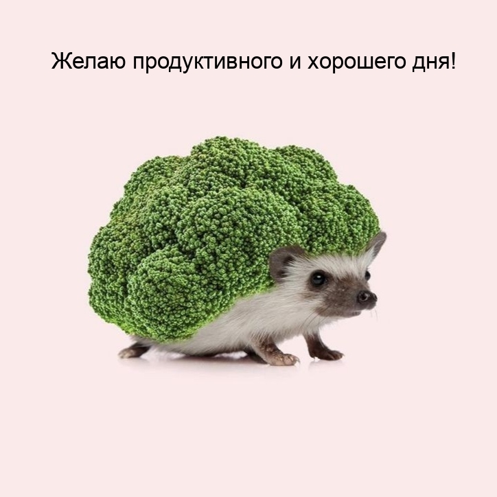 Желаю продуктивного и хорошего дня!
