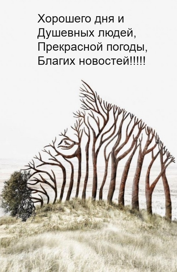 Хорошего дня и душевных людей, прекрасной погоды, благих новостей!