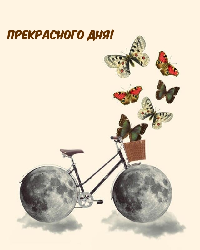 Прекрасного дня!