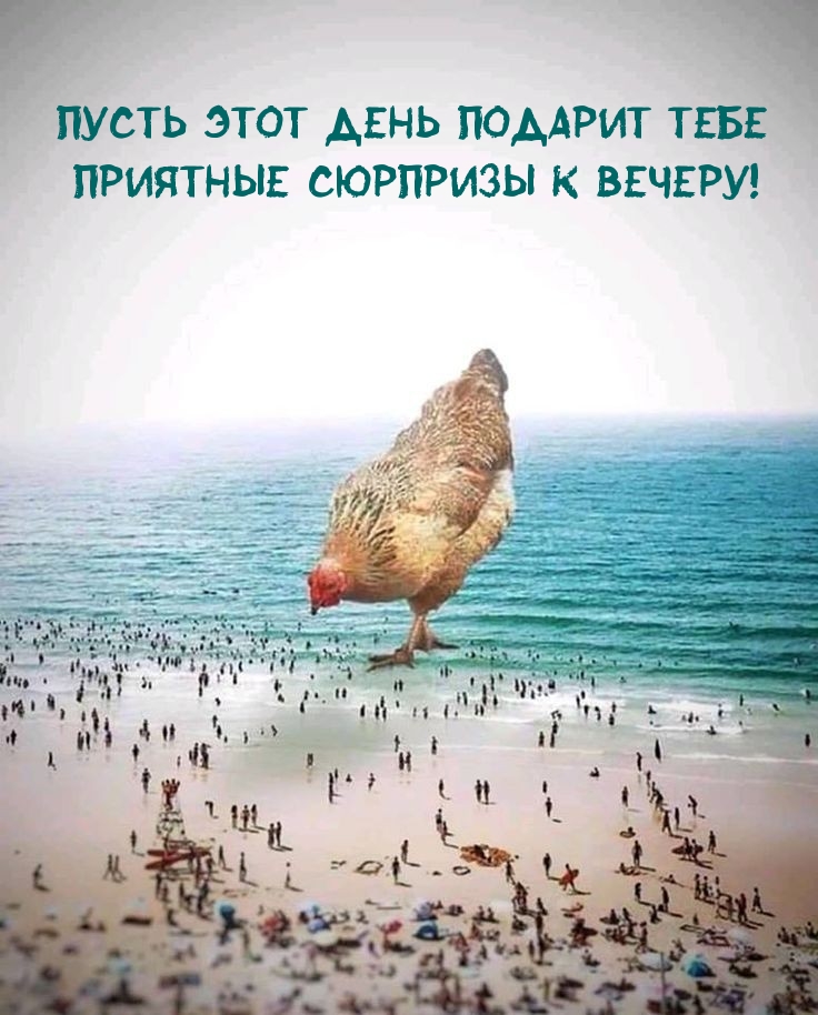 Пусть этот день подарит тебе приятные сюрпризы к вечеру!