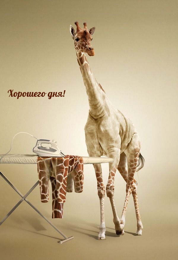 Хорошего дня!