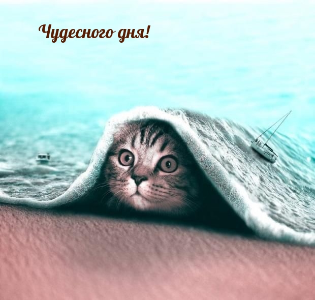 Чудесного дня!