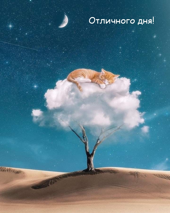 Отличного дня!