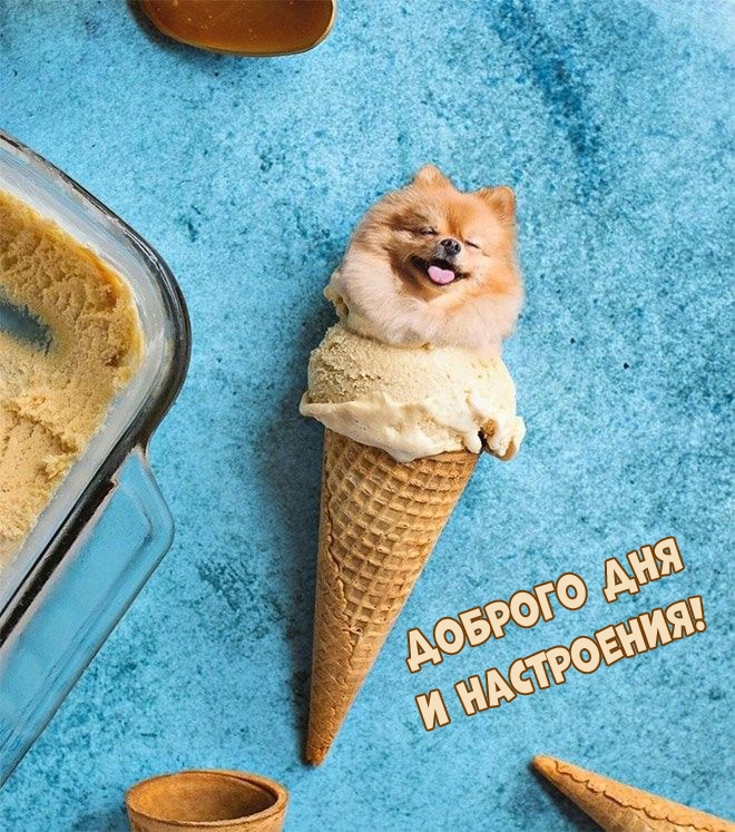 Доброго дня и настроения!