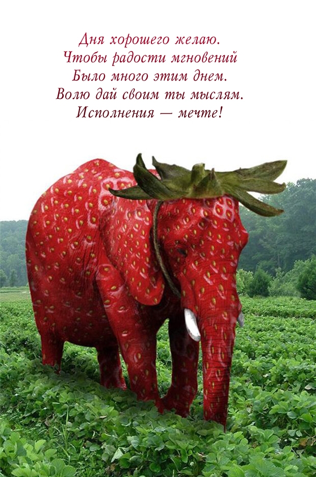Дня хорошего. Чтобы радости мгновений было много этим днем.