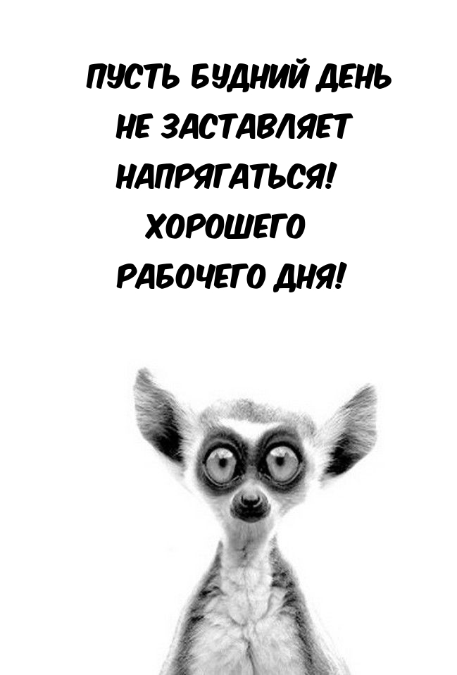 Пусть будний день не заставляет напрягаться!