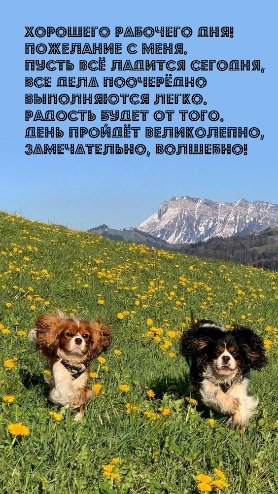 Хорошего рабочего дня! Пожелание с меня.