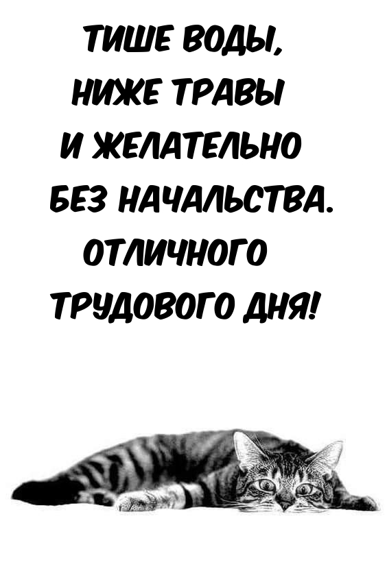 Отличного трудового дня! Тише воды, ниже травы