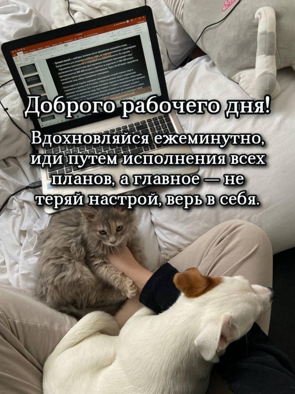Доброго рабочего дня! Вдохновляйся ежеминутно