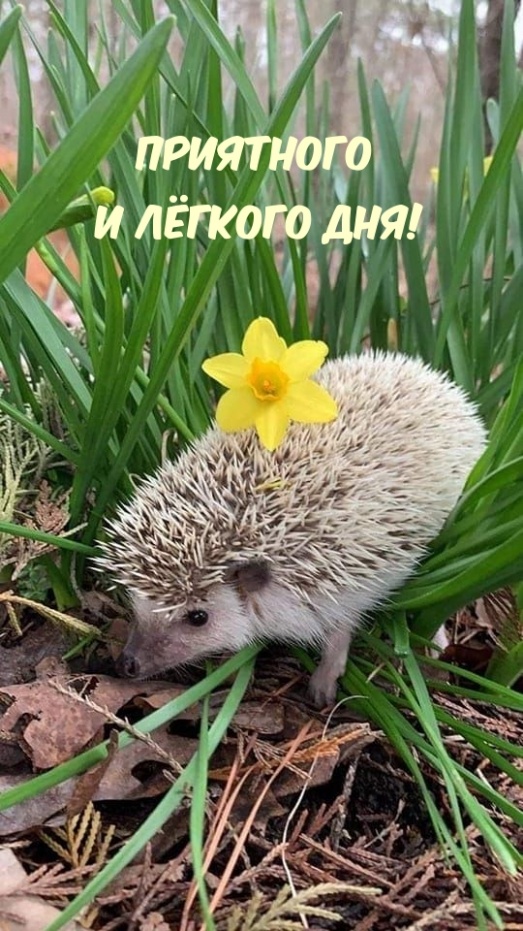 Пусть день будет легким