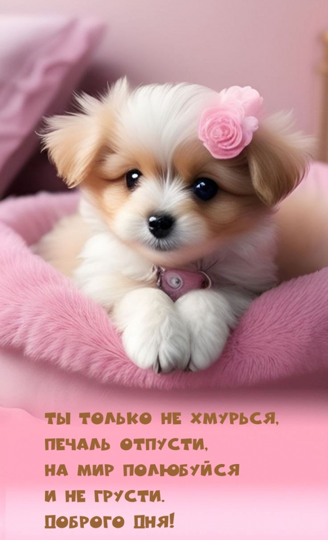 Ты только не хмурься, Печаль отпусти, На мир полюбуйся И не грусти.