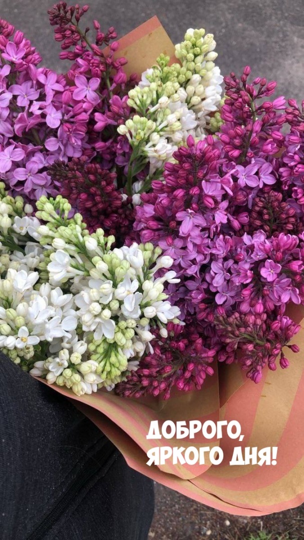 Желаю от души яркого дня