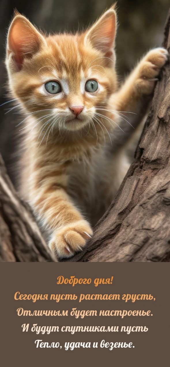 Сегодня пусть растает грусть, Отличным будет настроенье.