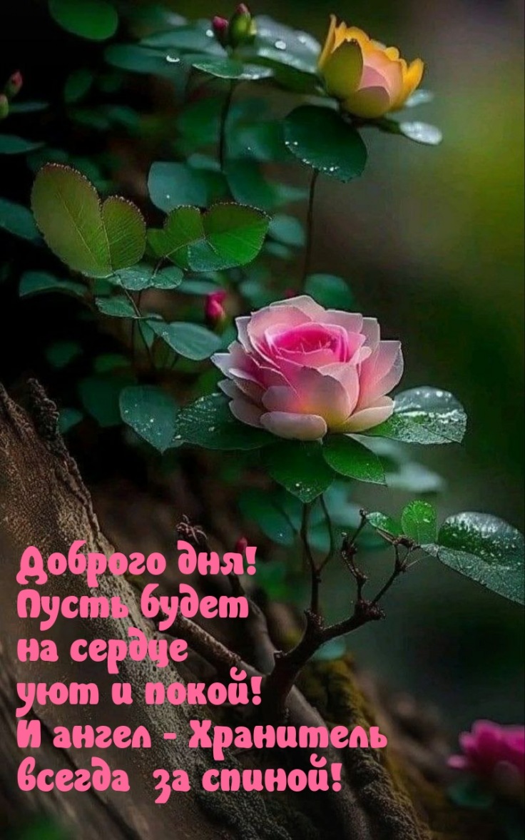 Пусть будет на сердце уют и покой!