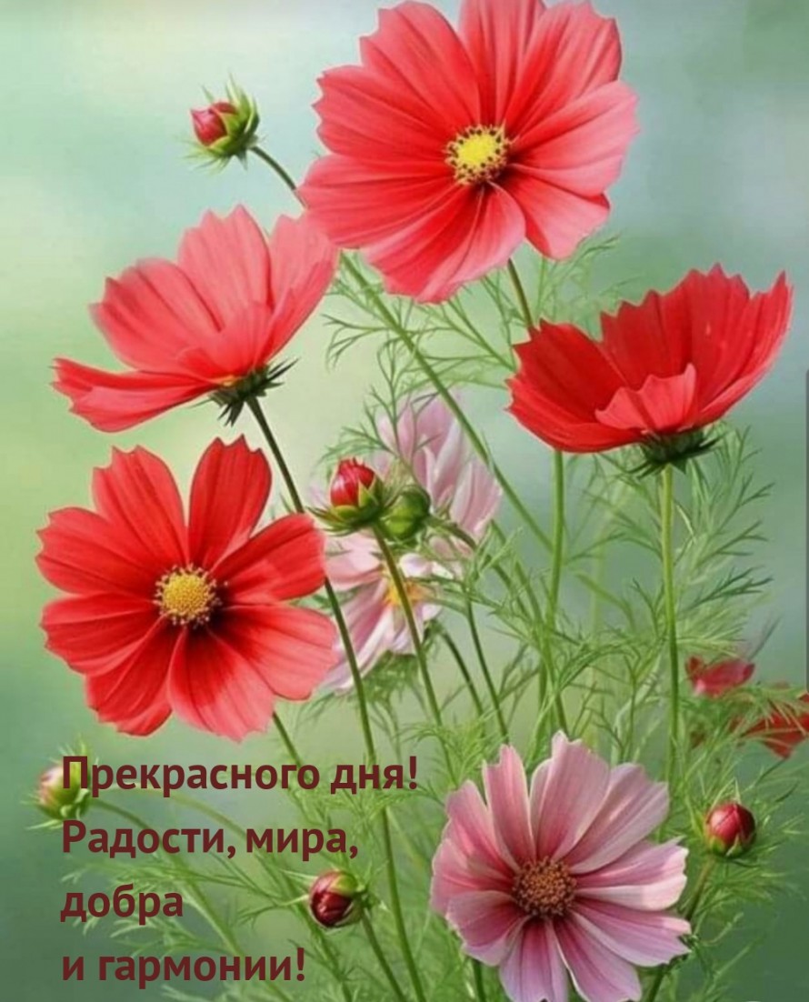 Радости , мира и добра