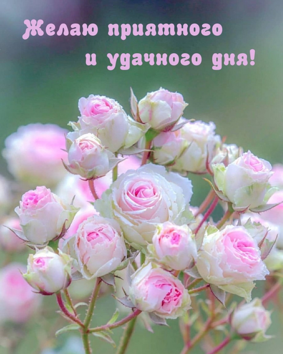 Желаю от души приятного дня