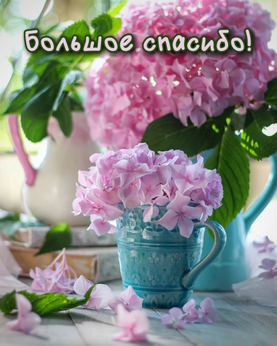 Благодарю за поздравления!