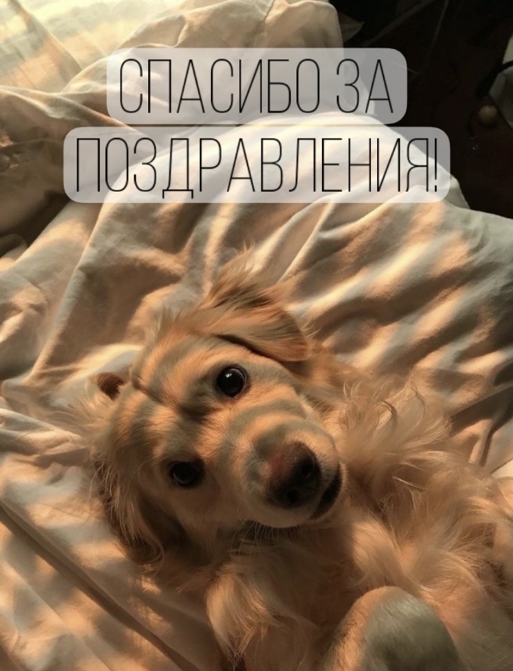 Спасибо за поздравленице!