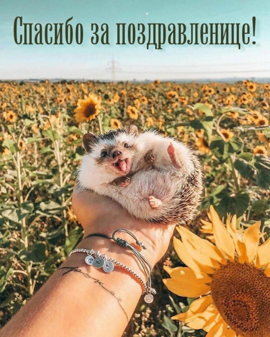 Спасибушечки за поздравляшечки!
