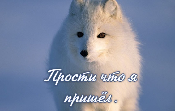 Прости что я пришёл.