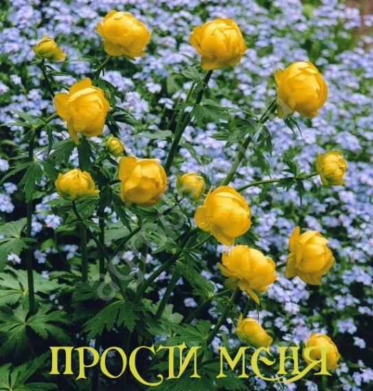 ПРОСТИ МЕНЯ.