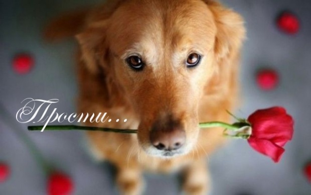 Прости....